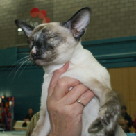 Littlefeat Over Therainbow