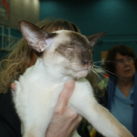 Pr Drestothril Daquari