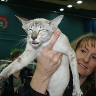 Sangchan Viva La Diva