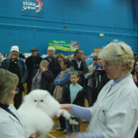 1 Sup Gr Ch Gemkin Starwind