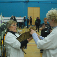 3 OBI Gr Pr Thickthorn Lottie