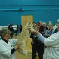 5 Sup UK OBI Gr Pr Pippastro Magik Flute