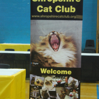 DSC_2329 Advertising set up