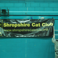 DSC_2330 The banner being set up