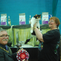 DSC_2388 Lord Mayor presents BIS H Pet