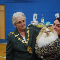 IGR CH Zendique Zut Alors (1)