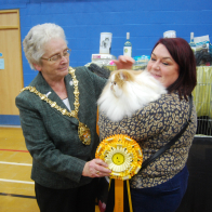 IGR CH Zendique Zut Alors (2)