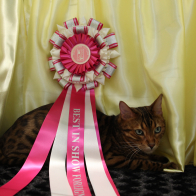 GR PR TOBYSDEN TERESCHENKO (4)