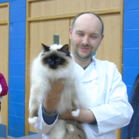 10 BIS Winner Mlyward Xerxes