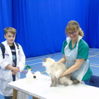 4 Mrs S Calloway Vetting-in a cat
