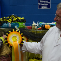 BIS Pedigree Musrafy Kazimir with Miss S Holden and Judge Mr J Harrison