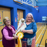 BIS Pedigree Musrafy Kazimir with owner