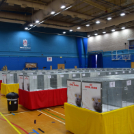 Show hall on Friday afternoon