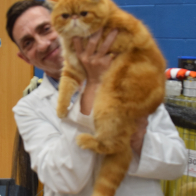 S1 ZENDIQUE CALL THE FIREBRIGADE a