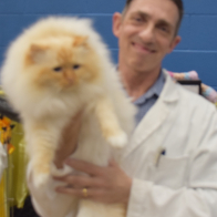 S2 GR CH SUCETTE ADDICTEDTO RED a