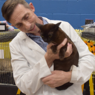 S5 IGR PR ROSSIKHAN BAMBOO a