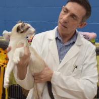 S6 BURNTHWAITES BALLBREAKER a