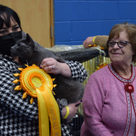 GMC MAC OWNED BY MRS L STILL