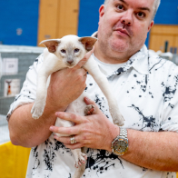 Tinkertailor Guilty Pleasure