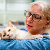 GCCF Shropshire 26-12