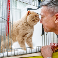 GCCF Shropshire 26-18