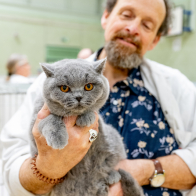 GCCF Shropshire 26-4