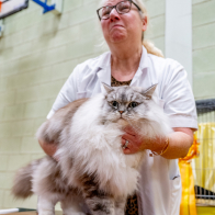 GCCF Shropshire 26-41