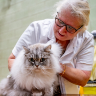 GCCF Shropshire 26-42