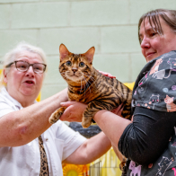 GCCF Shropshire 26-44