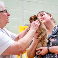 GCCF Shropshire 26-46