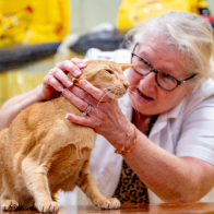 GCCF Shropshire 26-48