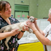 GCCF Shropshire 26-56