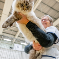 GCCF Shropshire 26-57