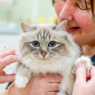 GCCF Shropshire 26-63