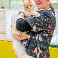 GCCF Shropshire 26-66