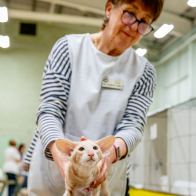 GCCF Shropshire 26-67