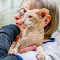 GCCF Shropshire 26-70