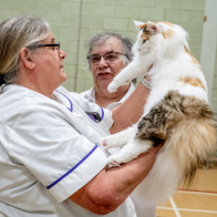 GCCF Shropshire 26-72