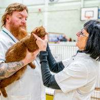 GCCF Shropshire 26-74