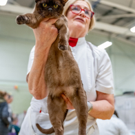 GCCF Shropshire 26-76