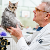 GCCF Shropshire 26-96